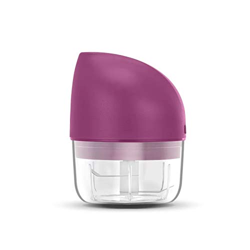 2020 100ML Mini Rechargeable Food Chopper Multi-Function Chopper For Baby Food, Kitchen Food Processor And Portable blender for Vegetable Fruit Meat Garlic Onion Ginger Crusher